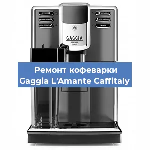 Чистка кофемашины Gaggia L'Amante Caffitaly от кофейных масел в Екатеринбурге
